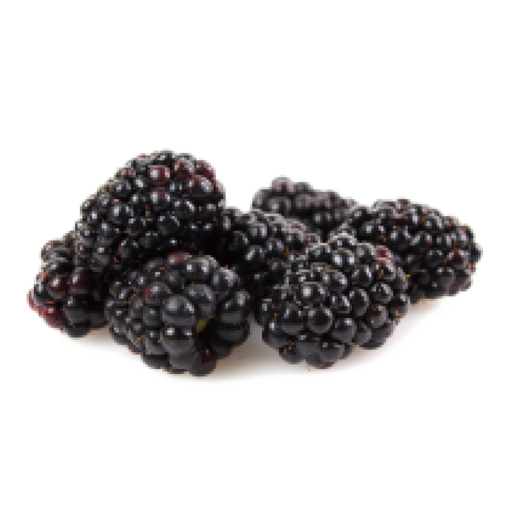 Ole Homestead - Blackberry Pepper Jelly 12 oz