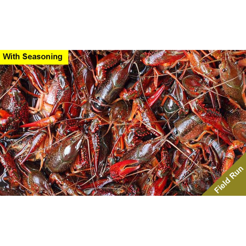 Sack of Field Run Live Crawfish for Sale with Seasoning